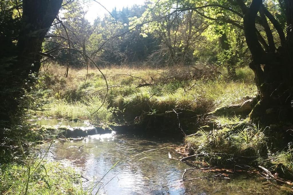 Wood By The River - For Nature Lovers *